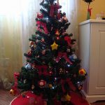 natal13