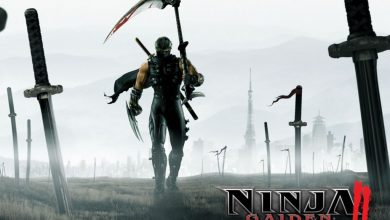 Ninja Gaiden 2