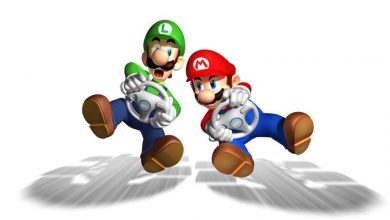 Mario Kart Wii