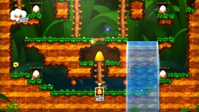 Toki Tori Wiiware