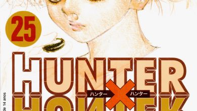 Avaliando Hunter X Hunter (Mangá) - Vol. 1 à 5! — Portallos