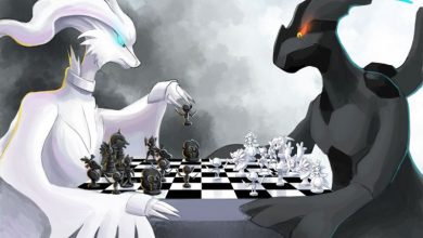 Reshiram Zekrom