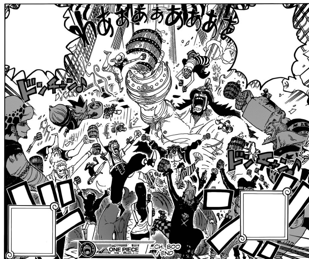 one-piece-800-c