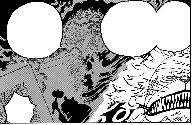 One Piece 818 c