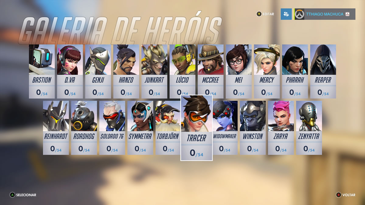 Overwatch Beta (20)