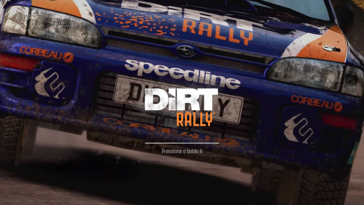 DiRT Rally (19)