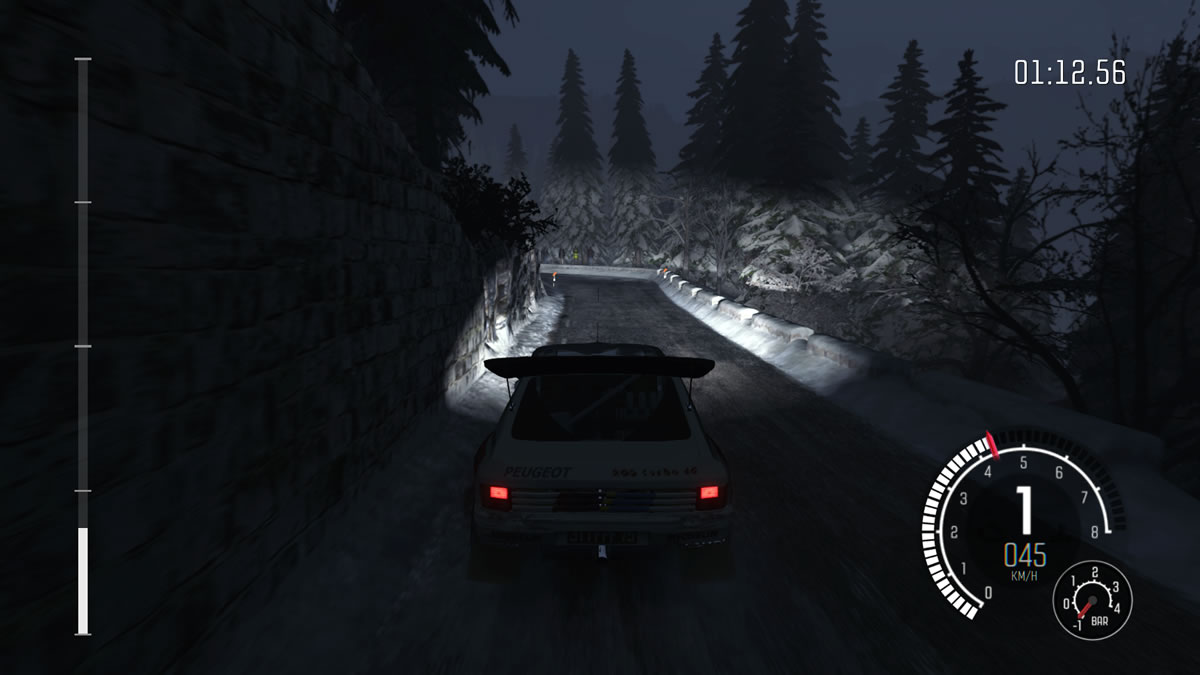 DiRT Rally (22)