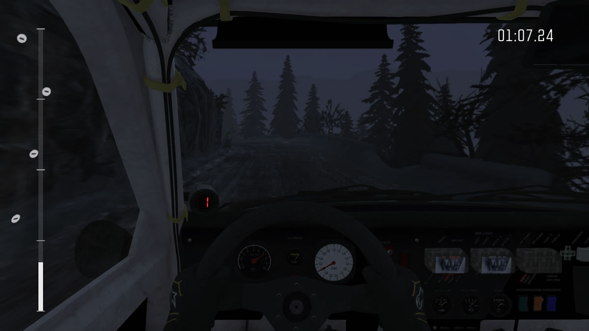 DiRT Rally (23)