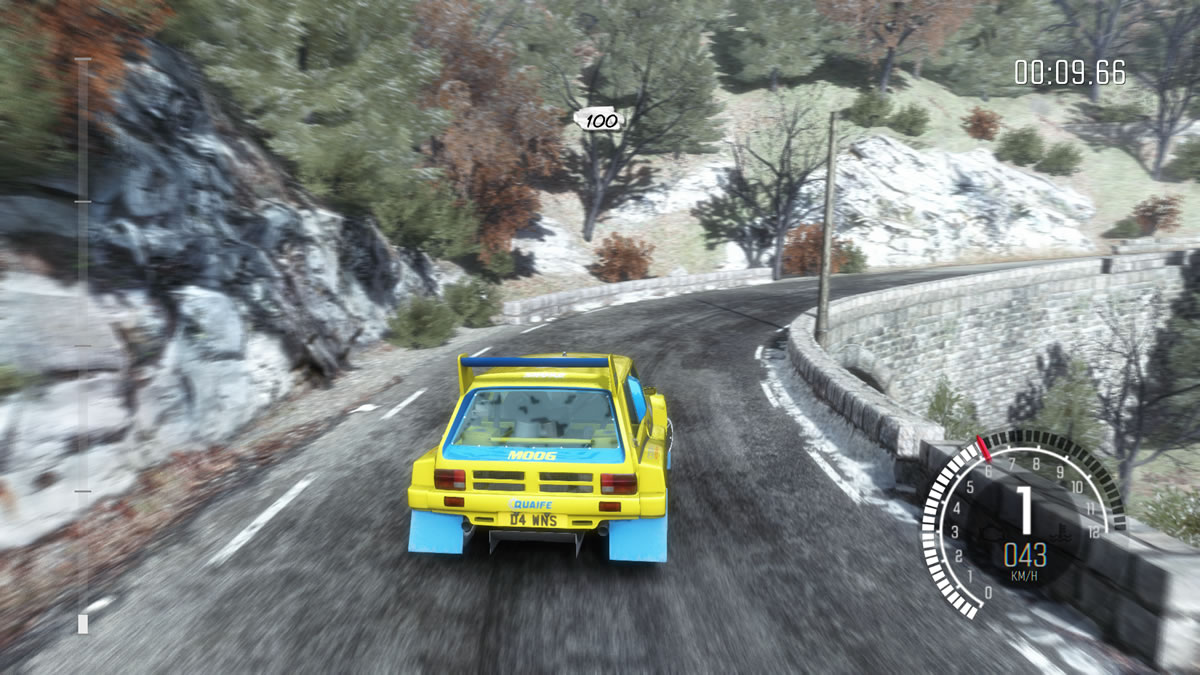 DiRT Rally (25)