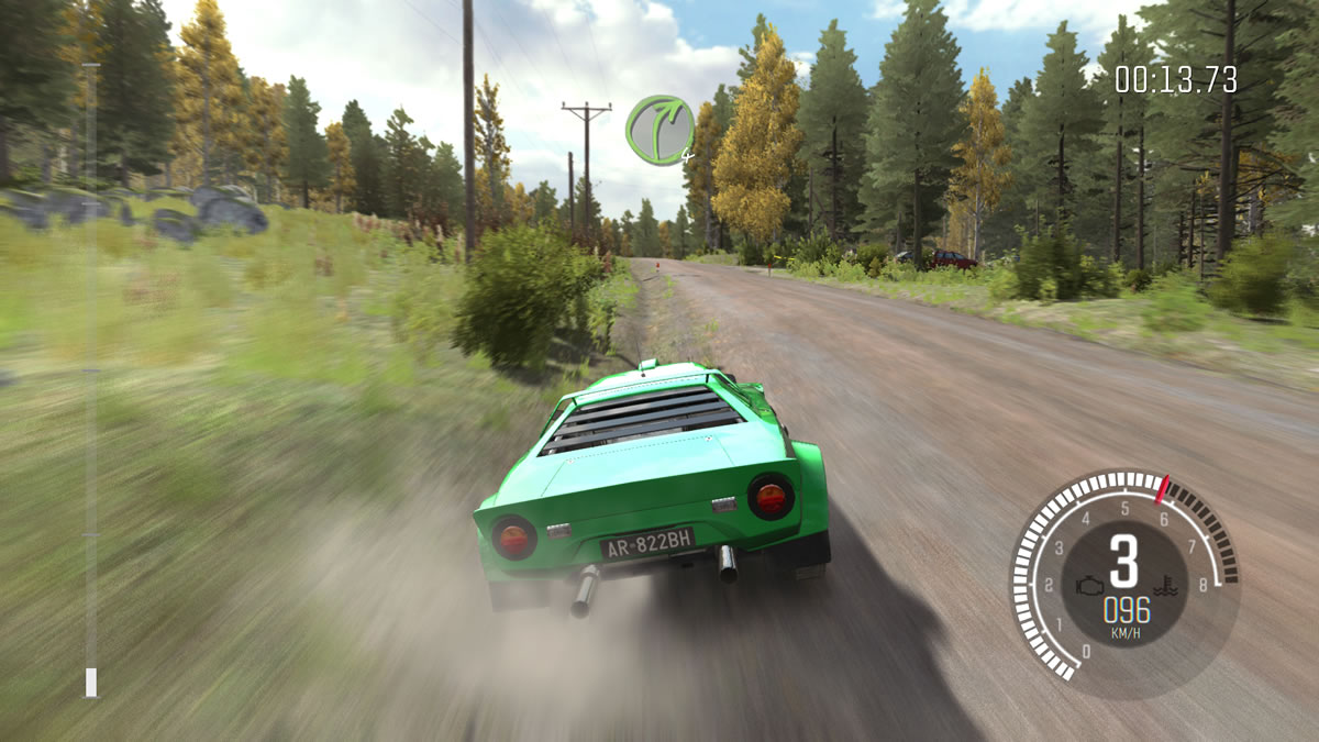 DiRT Rally (26)