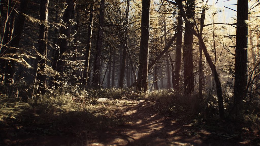 Blair Witch Bruxa de Blair Jogo