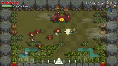 Cadence of Hyrule